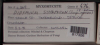 Image Associated With the Occurence